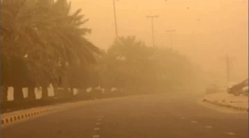 تحذير من الغبار.. رياح البحر الأحمر تتسبب في تدهور رؤية السائقين بالمنطقة